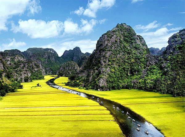 Sắc vàng Tam Cốc (xã Ninh Hải, huyện Hoa Lư) nhìn từ trên cao